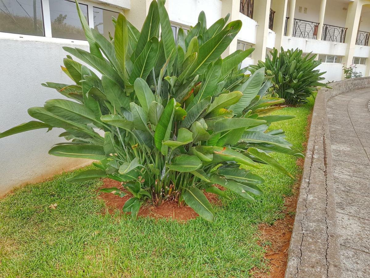 Falesia Apartment - Reis Magos Beach Caniço Exterior foto